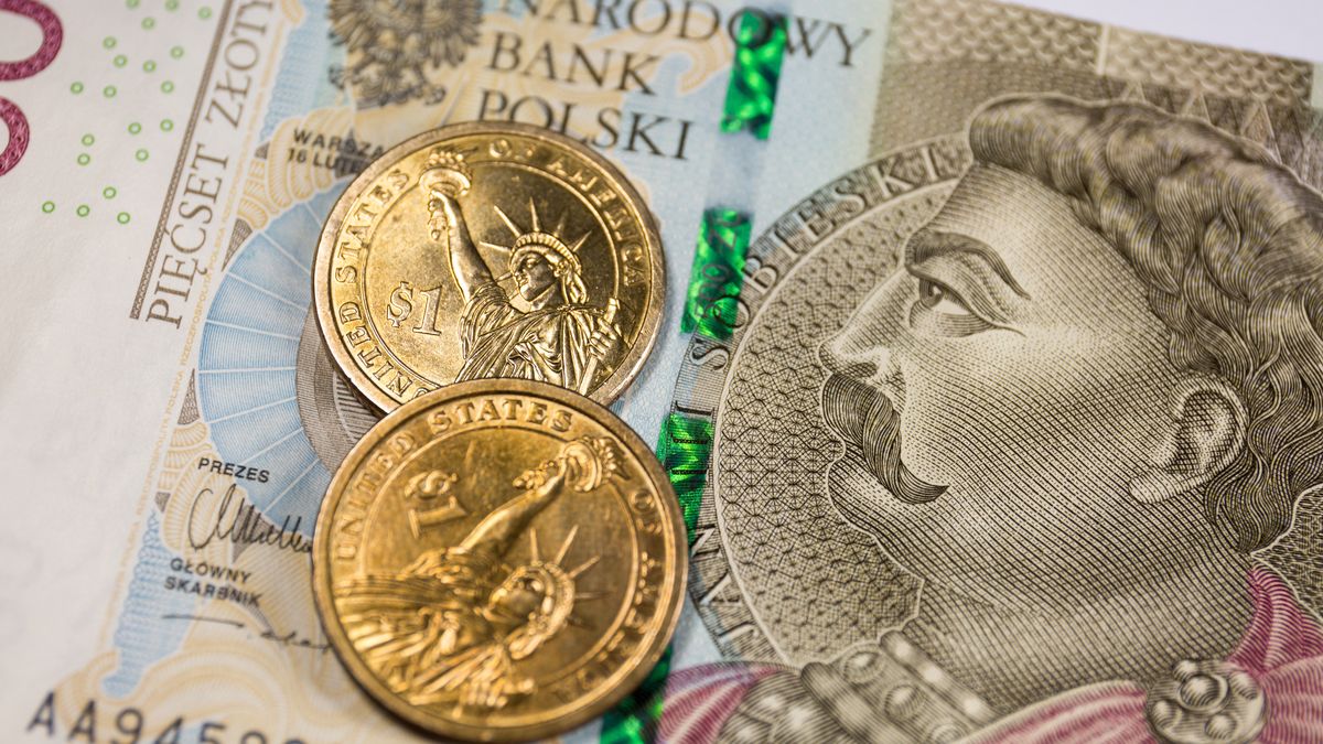 POLAND - 2022/03/09: In this photo illustration, the reverse of the United States 1 dollar coins with Statue of Liberty and Polish 500 zloty banknote are seen displayed. (Photo Illustration by Karol Serewis/SOPA Images/LightRocket via Getty Images)