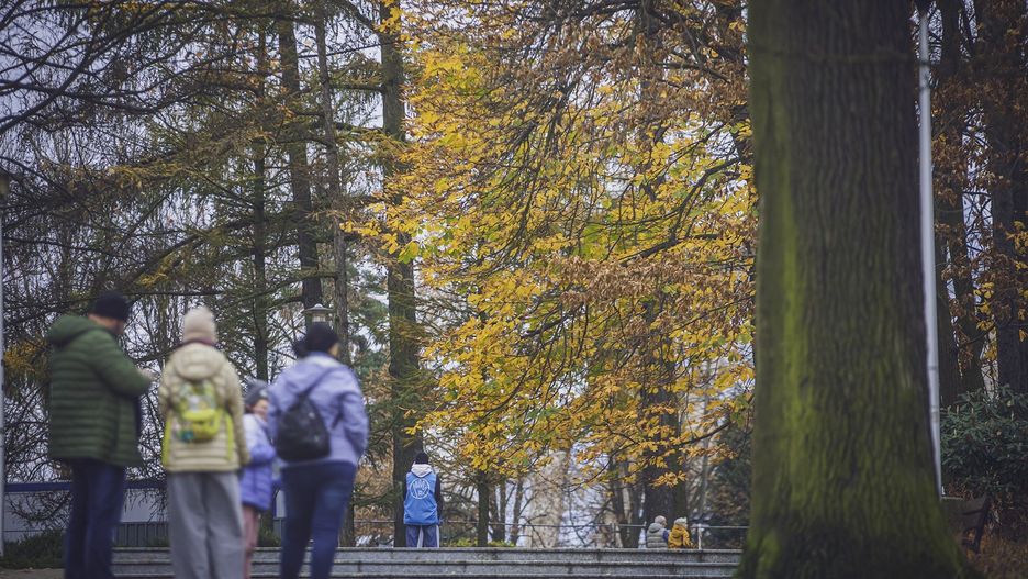 JEZIORO PAPROCANY 11 LISTOPADA CZAS WOLNY