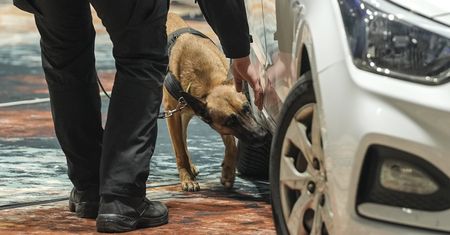 Lidia wywąchała amfetaminę. Udana akcja białostockiej policji