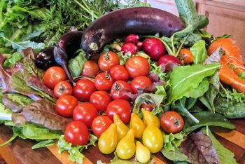 Zielona dieta śródziemnomorska uchroni przed chorobą Alzheimera