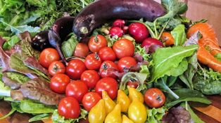 Zielona dieta śródziemnomorska uchroni przed chorobą Alzheimera