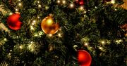Choinka w różnych stylach. Jak ubierasz świąteczne drzewko?