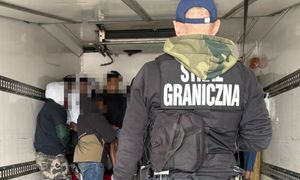 Odkrycie na A2. Sprawdzili ciężarówkę. "Pełna migrantów"