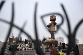 Na cmentarzach panuje dziś wolna amerykanka. "Co cmentarz, to inne zasady"