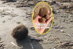 Dziwne "kłaczki" na plaży. "Wiele razy się zastanawiałem, co to jest"