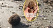 Dziwne "kłaczki" na plaży. "Wiele razy się zastanawiałem, co to jest"
