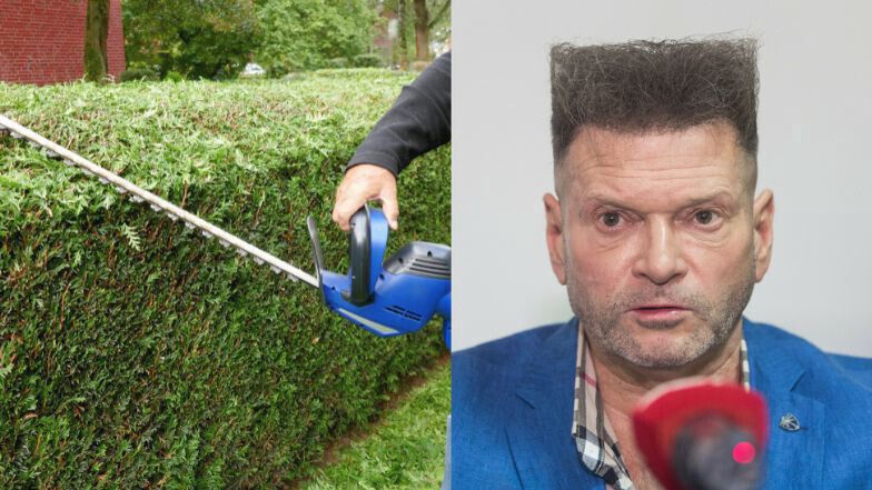 Żywopłoty, które wyglądają jak Krzysztof Rutkowski