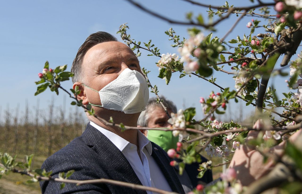 Koronawirus w Polsce. Andrzej Duda nosi maseczkę z ręcznika papierowego. To lepszej nie ma?