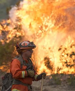 USA. Pożary w Kalifornii. Dziesiątki tysięcy mieszkańców ewakuowanych