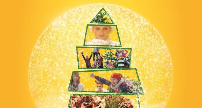 RMF FM rozda "Choinki pod Choinkę" w 12 miast