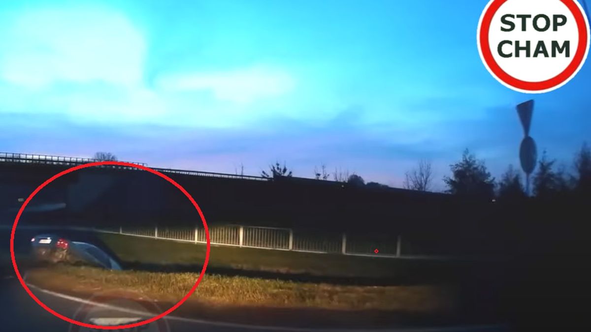 Nagranie z kuriozalnego zdarzenia pojawiło się w sieci