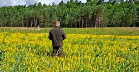 Zazielenią piaskownię. "Dla leśników nie ma rzeczy niemożliwych"