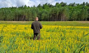 Zazielenią piaskownię. "Dla leśników nie ma rzeczy niemożliwych"