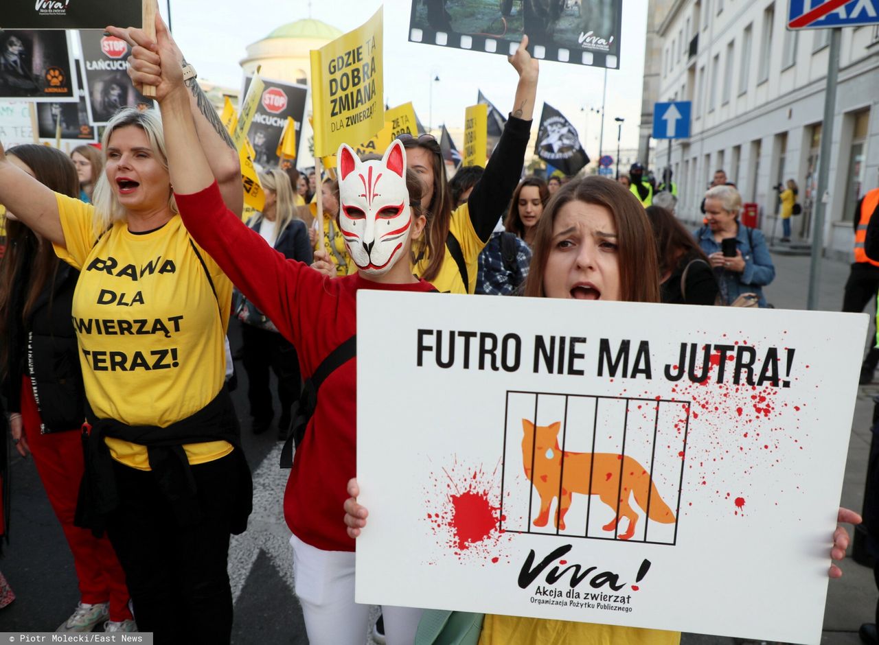 Warszawa. Wielki Marsz dla zwierząt. Protest przed Sejmem
