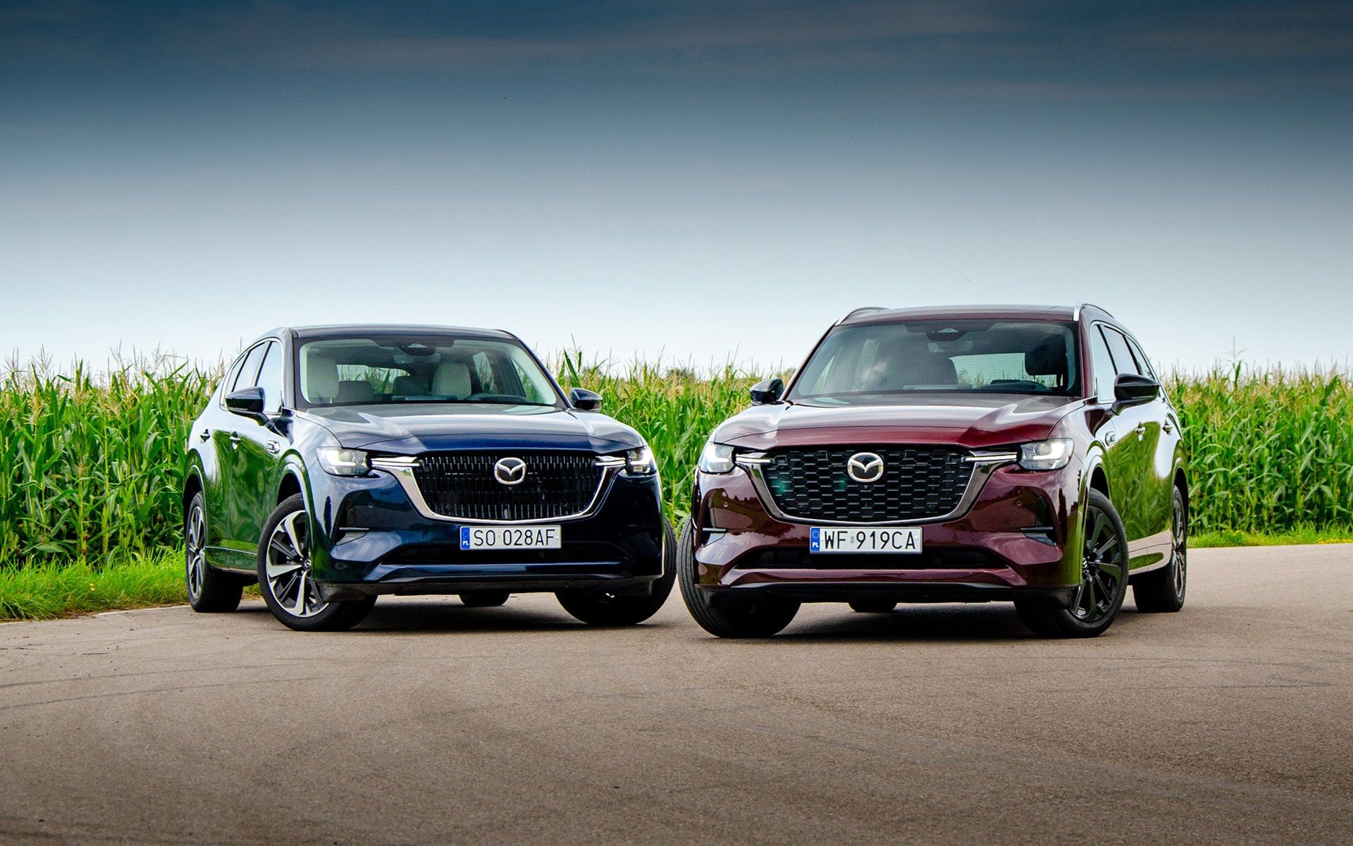 Mazda CX-60 vs. Mazda CX-80