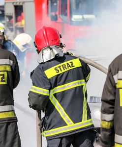 Zapłonęła jak zapałka. Pożar na autostradzie A4