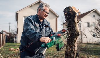 Planujesz wyciąć drzewo wiosną? Przepisy są inne, niż myślisz
