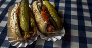Hot dog prosto z Chicago. Jest jedna zasada, jak go jeść