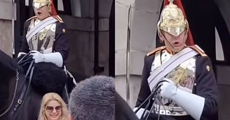 Turystka chciała dotknąć konia. Królewski gwardzista ostro ją zrugał