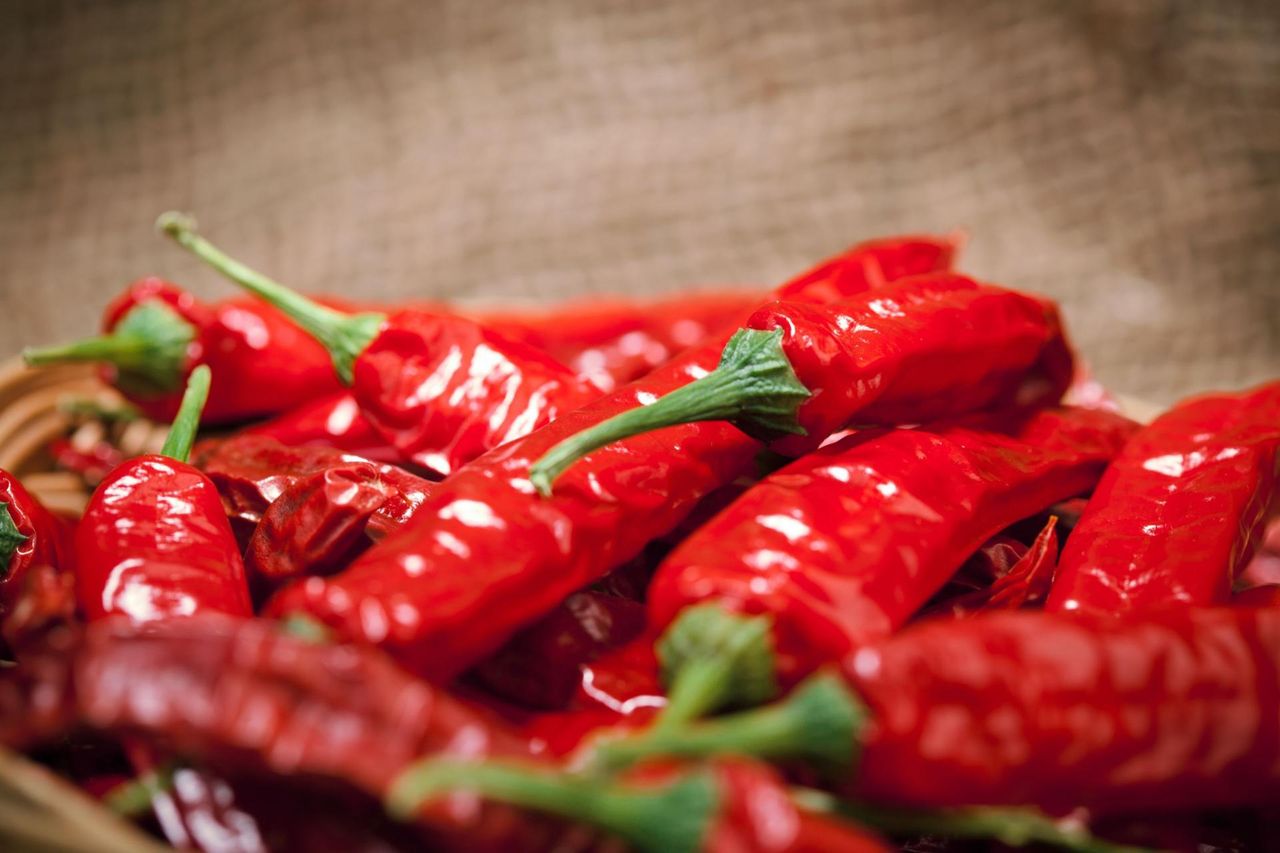 Berbere - przyprawa dla miłośników pikantności!