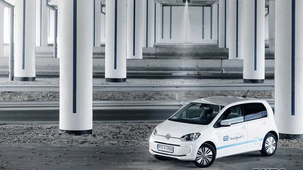 Zdjęcie ilustracyjne do artykułu