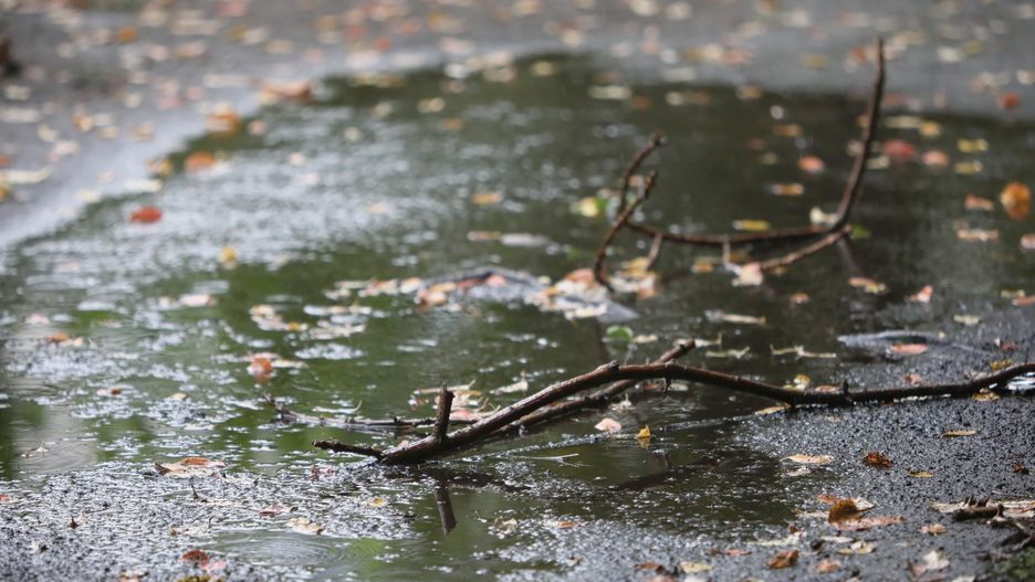 Wrocław. Pogoda. 29 września 2020 - pada, ciągle pada. Nie najlepsze prognozy na ten tydzień