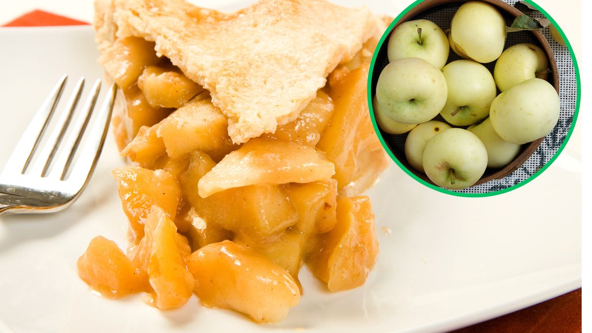 Szarlotka z papierówek - jedyna w swoim rodzaju