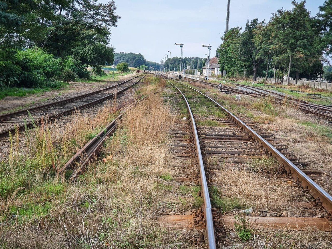 Inwestycja za dziesiątki milionów. Kolejarze zlecili modernizację trasy z Gostynia do Kąkolewa. Linia połączy dwa powiaty