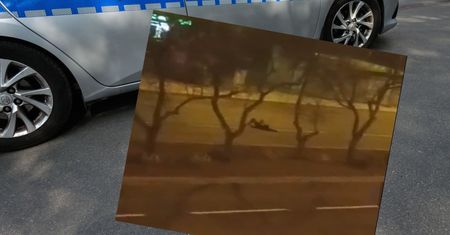 Groźna zabawa nastolatek w Pile. Mogło dojść do tragedii