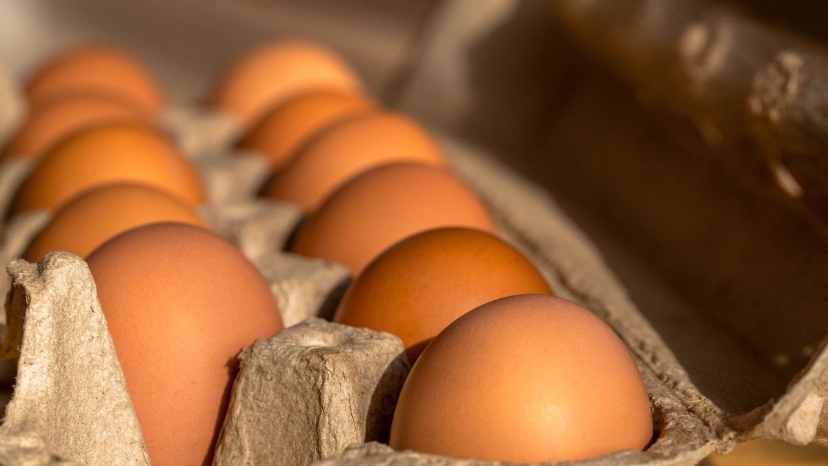 Jak spożycie jaj wpływa na poziom cholesterolu  we krwi?