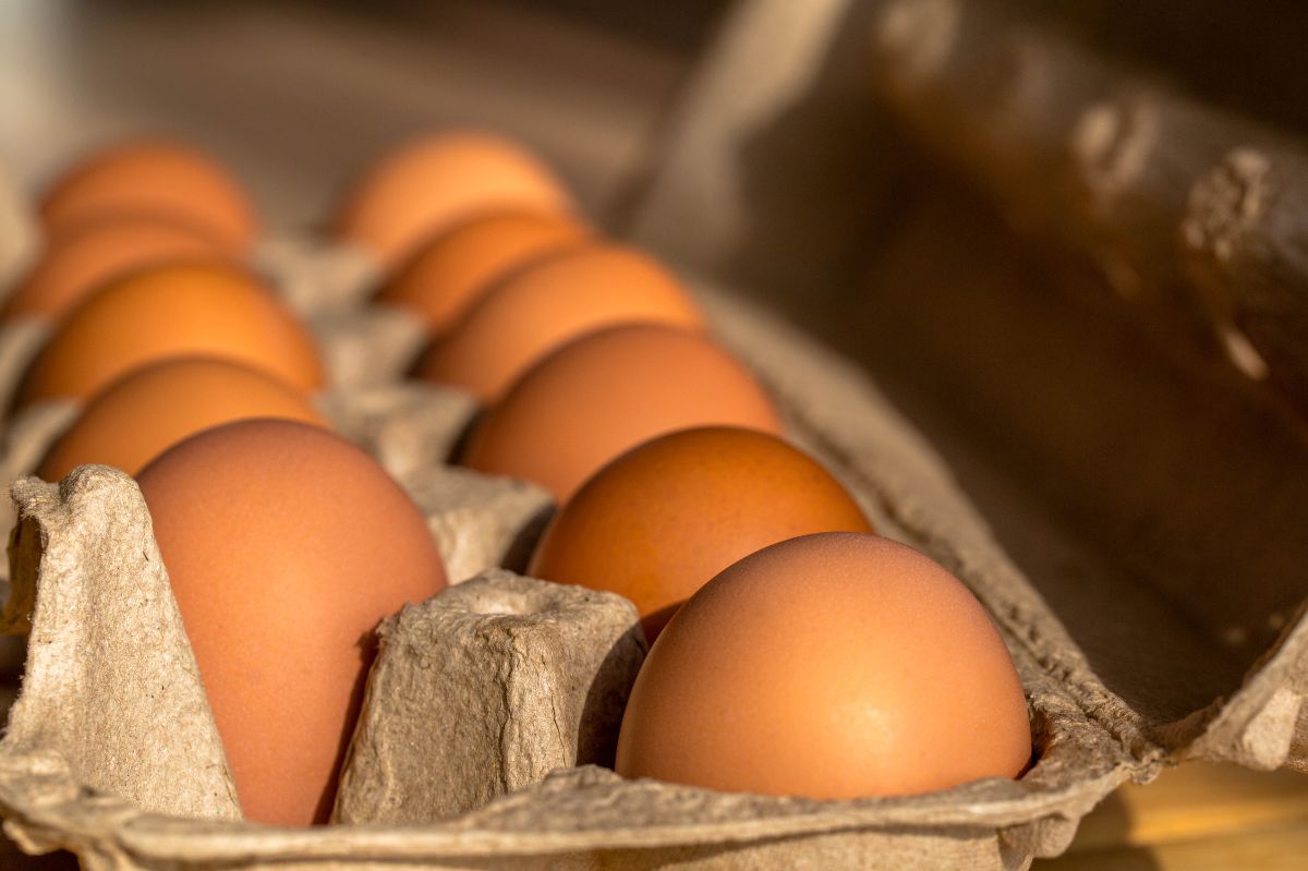 Jak spożycie jaj wpływa na poziom cholesterolu  we krwi?