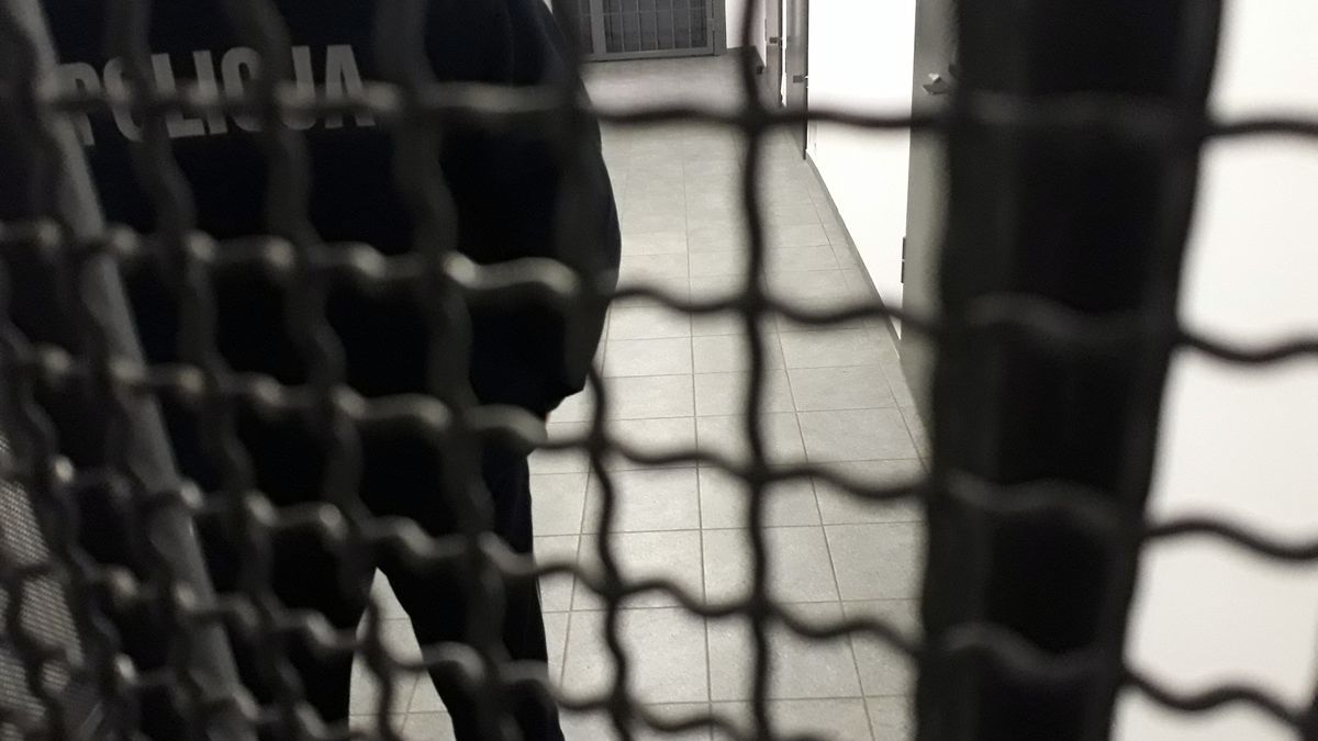 areszt fot. poglądowa / KPP Ostrów Wielkopolski (archiwum)