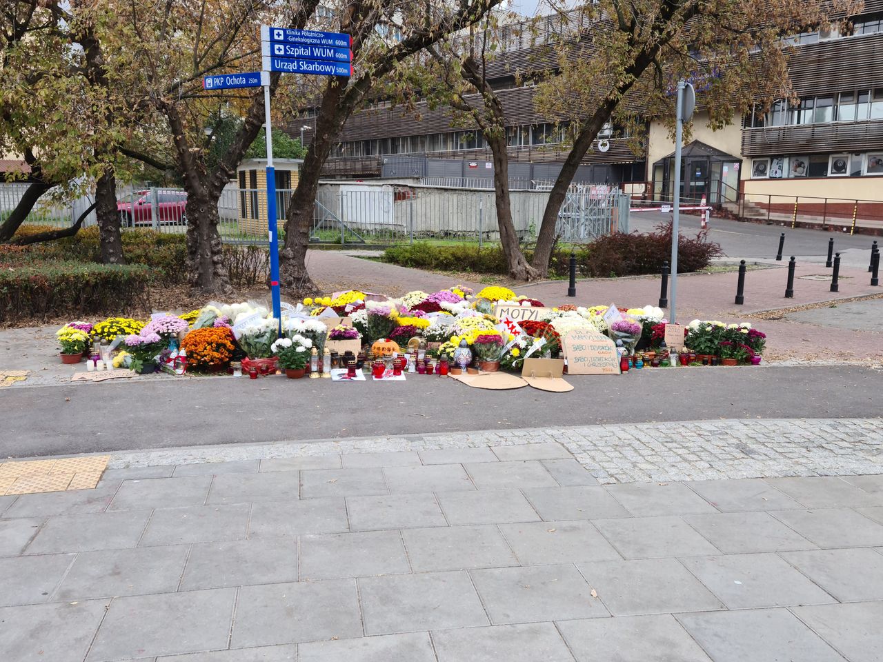 Chryzantemy przed siedzibą PiS na ulicy Nowogrodzkiej w Warszawie.