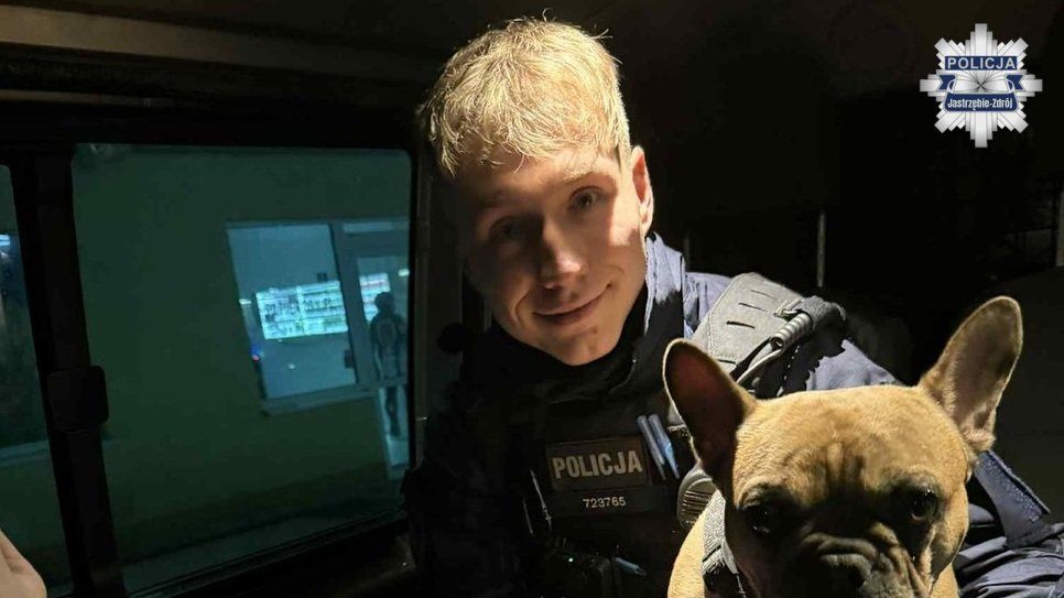 policja