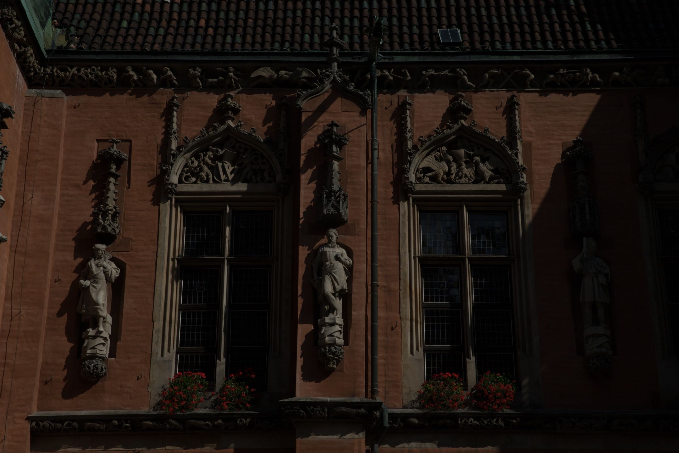 Canon EOS 6D Mark II - test następcy popopularnej pełnoklatkowej lustrzanki 96
