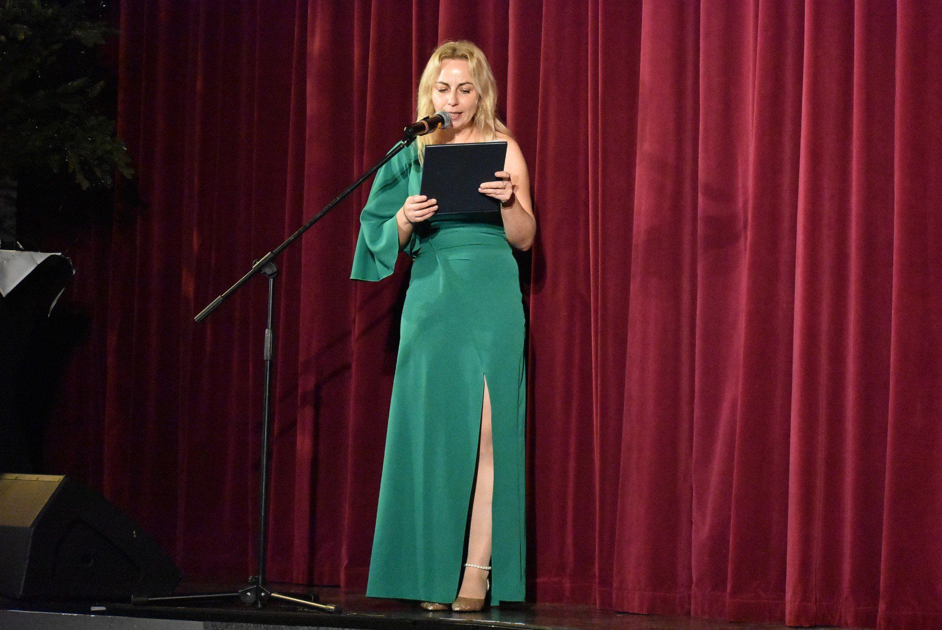 Uczniowie Szkoły Muzycznej w Żębocinie kolędowali i zbierali pieniądze na budowę sali gimnastycznej