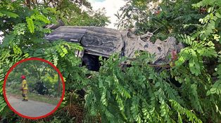 Peugeot uderzył w drzewo i dachował. Kierowca trafił do szpitala
