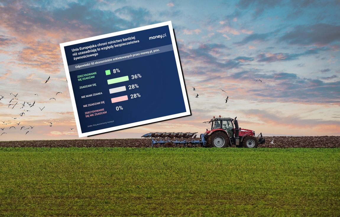 Rolnicy trzęsą unijną polityką. Oto przyczyny [ANALIZA]