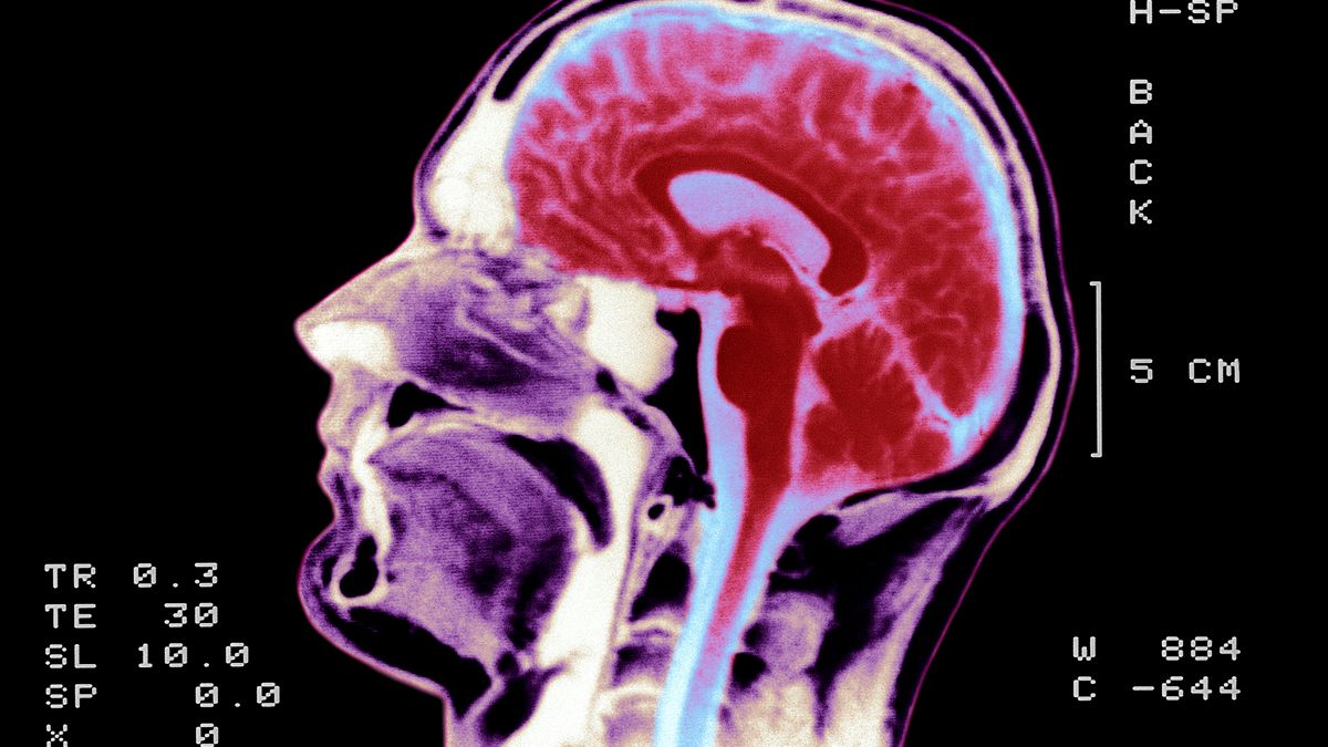 Trójka. Afera z Kazikiem pokazała, że nasz los zależy od algorytmów, których nie rozumiemy [OPINIA] 1