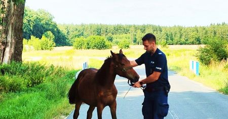 Interwencja z ekspertką na linii. "Służyła dobrą i profesjonalną radą"