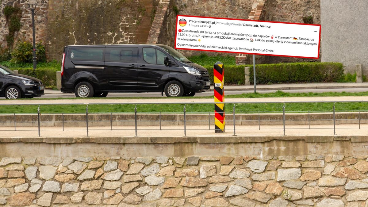 Niemcy szukają do pracy.