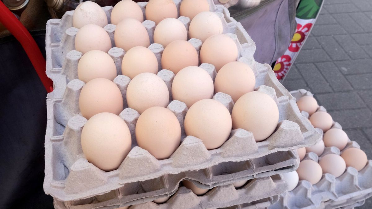 Przed?wi?teczne zakupy
Fot. Anita Walczewska/East News, 17.04.2025. Przeswiateczne zakupy w Hali Mirowskiej.
Anita Walczewska