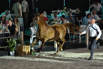 Adelita gwiazdą aukcji. Padnie rekord?
