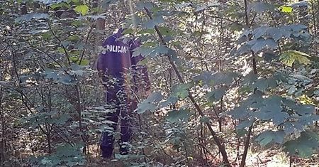 39-latka poszła na grzyby. Przeżyła horror