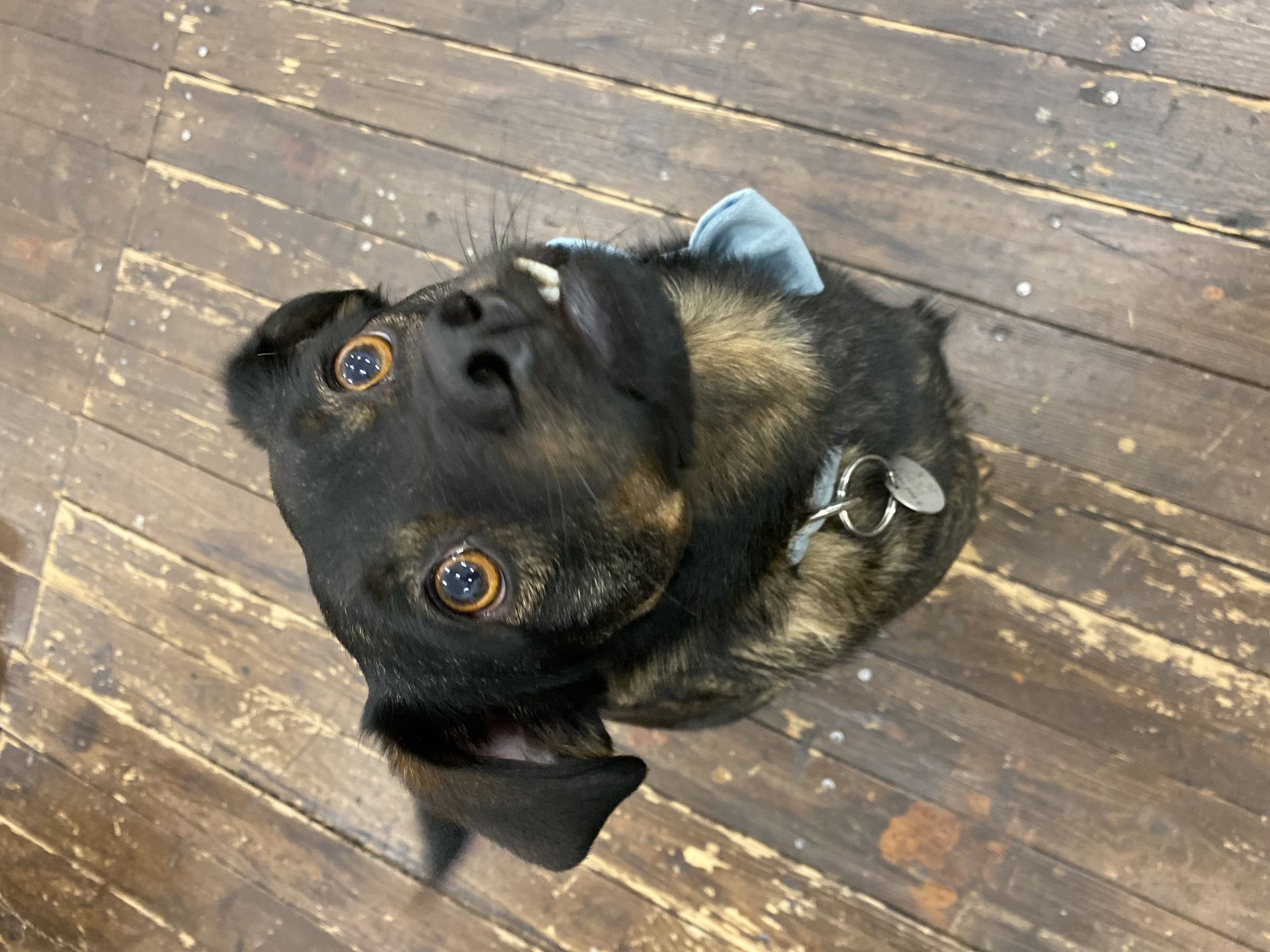 Nowe życie zaczął od zmiany imienia na Grinch