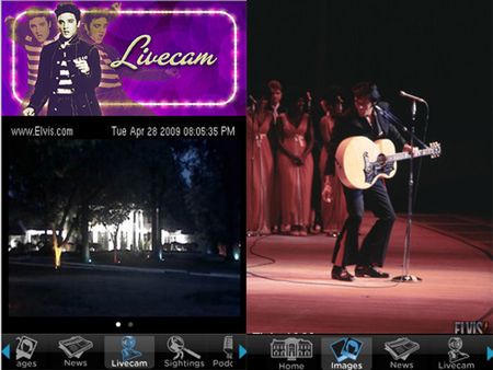 Elvis nie umarł! Elvis żyje! 2