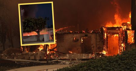 Pożar w Los Angeles. Podejrzany o podpalenie aresztowany