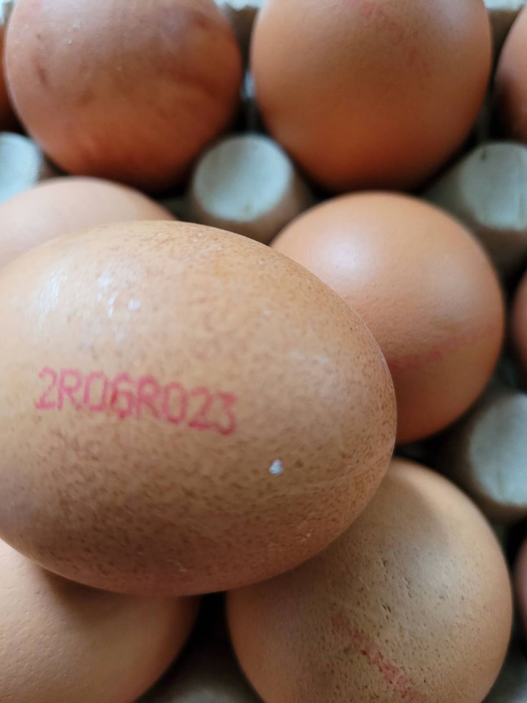 Jajka z innych krajów sprzedawane w Polsce