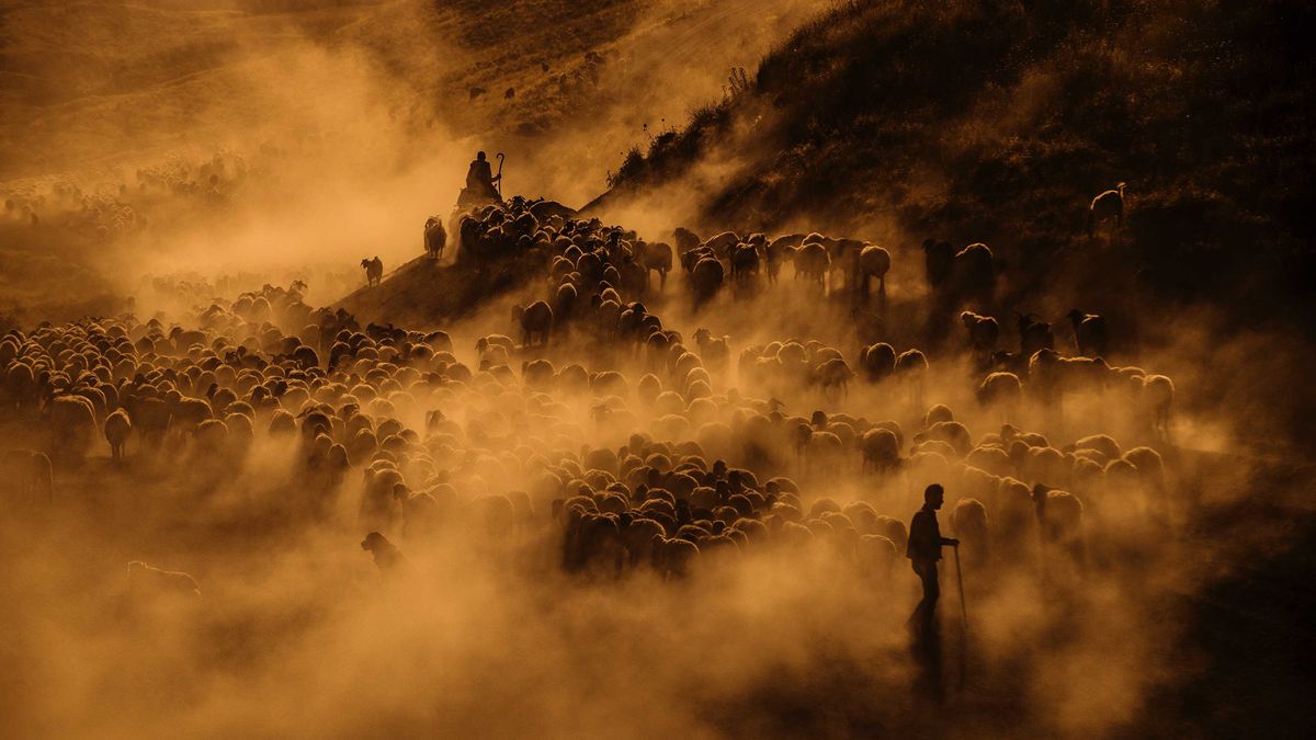 EyeEm Awards 2018 - Polacy wśród finalistów 1