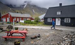 Niepokojące odkrycie na Islandii. Pojawiły się komary